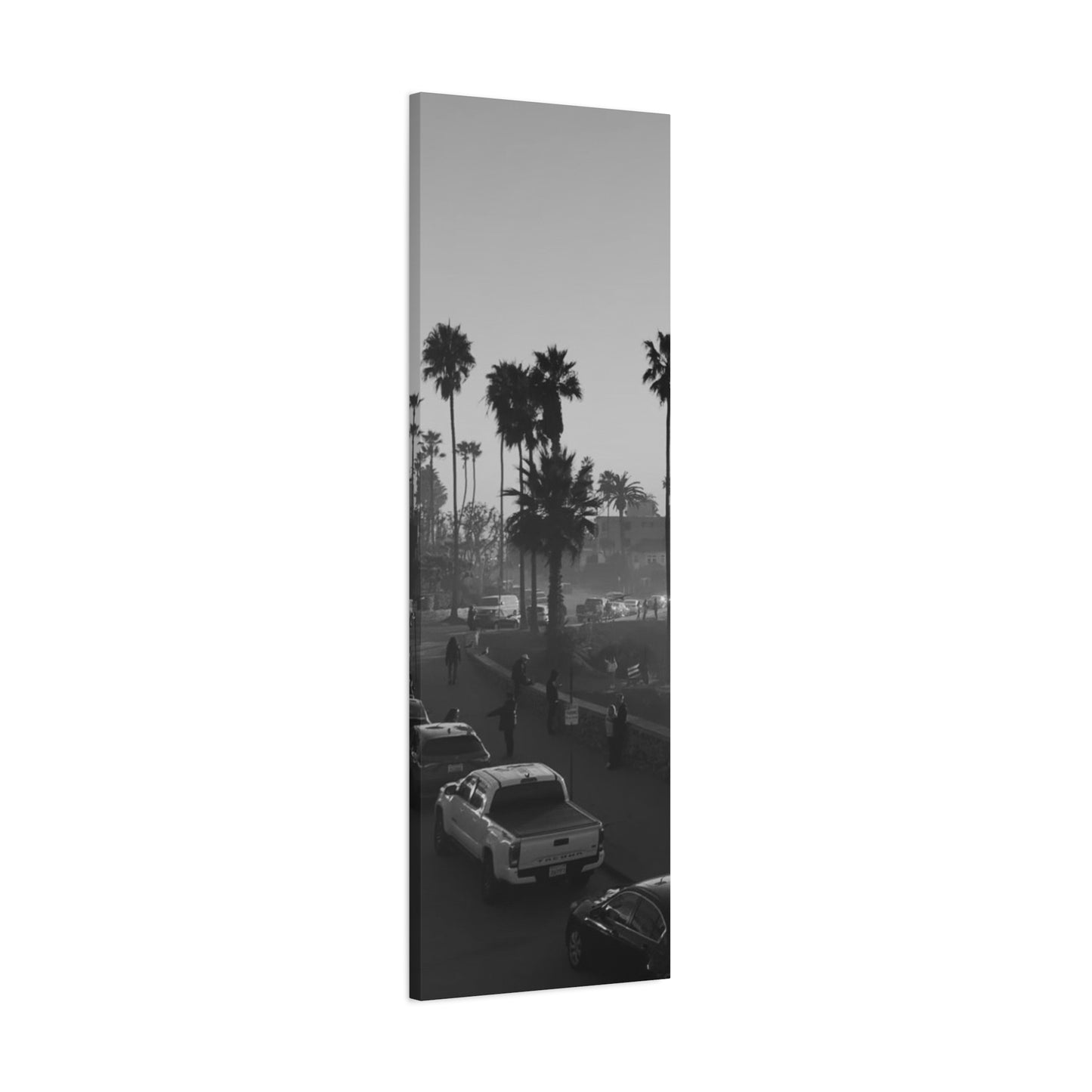 Vintage Palm trees "ANGLE"
