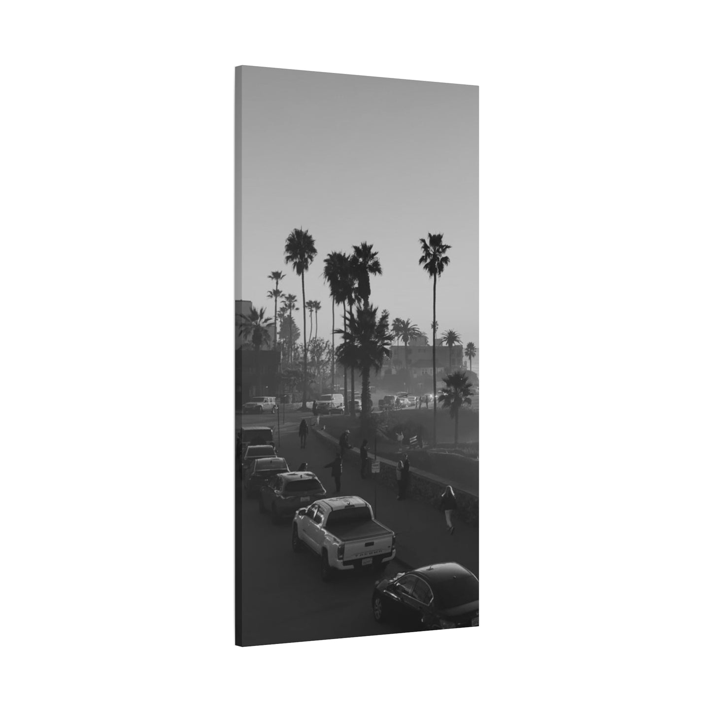 Vintage Palm trees "ANGLE"