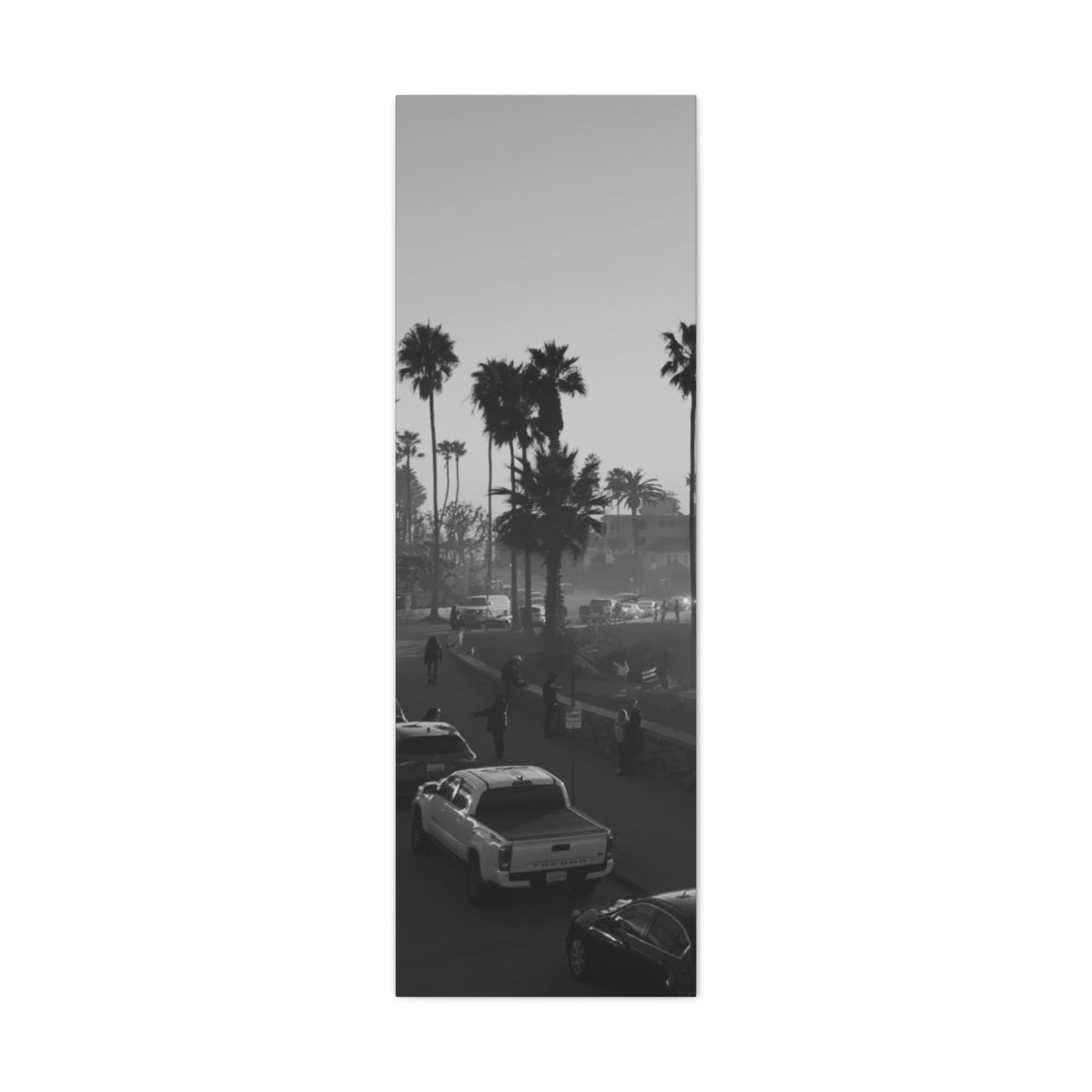 Vintage Palm trees "ANGLE"