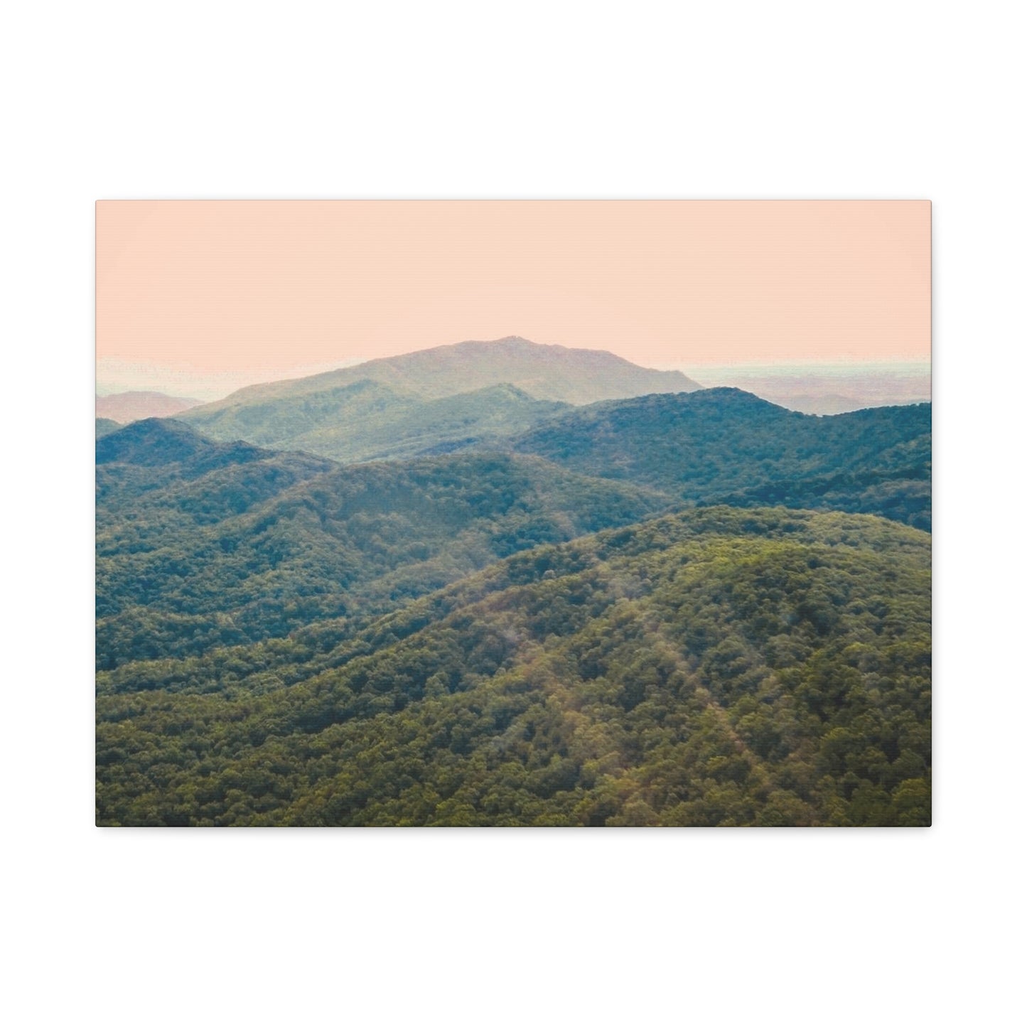 Golden Light "Smoky Mountains"