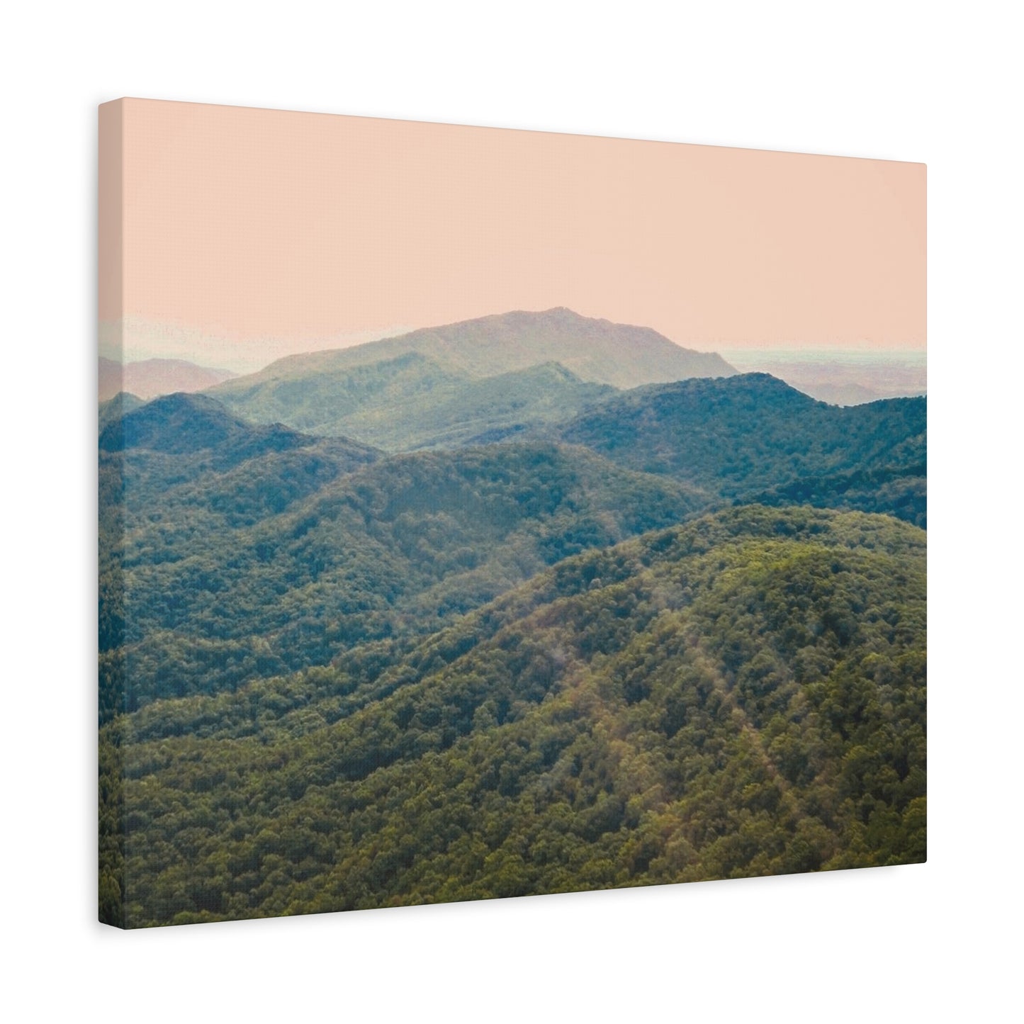 Golden Light "Smoky Mountains"