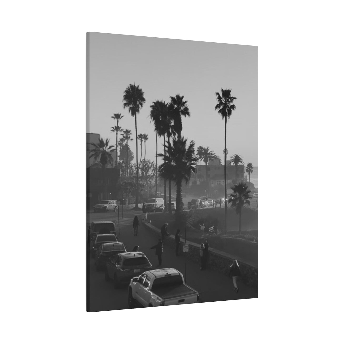 Vintage Palm trees "ANGLE"