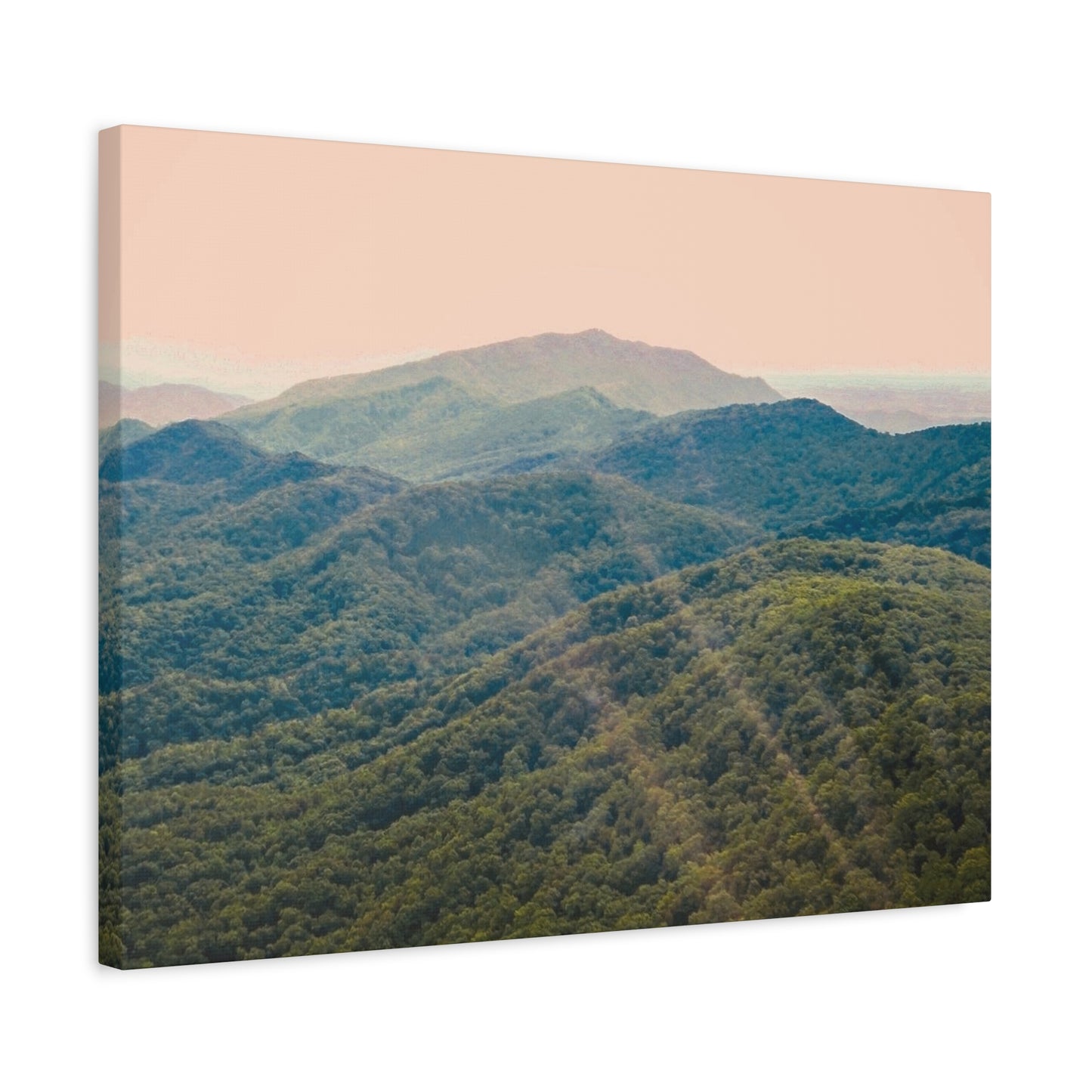 Golden Light "Smoky Mountains"