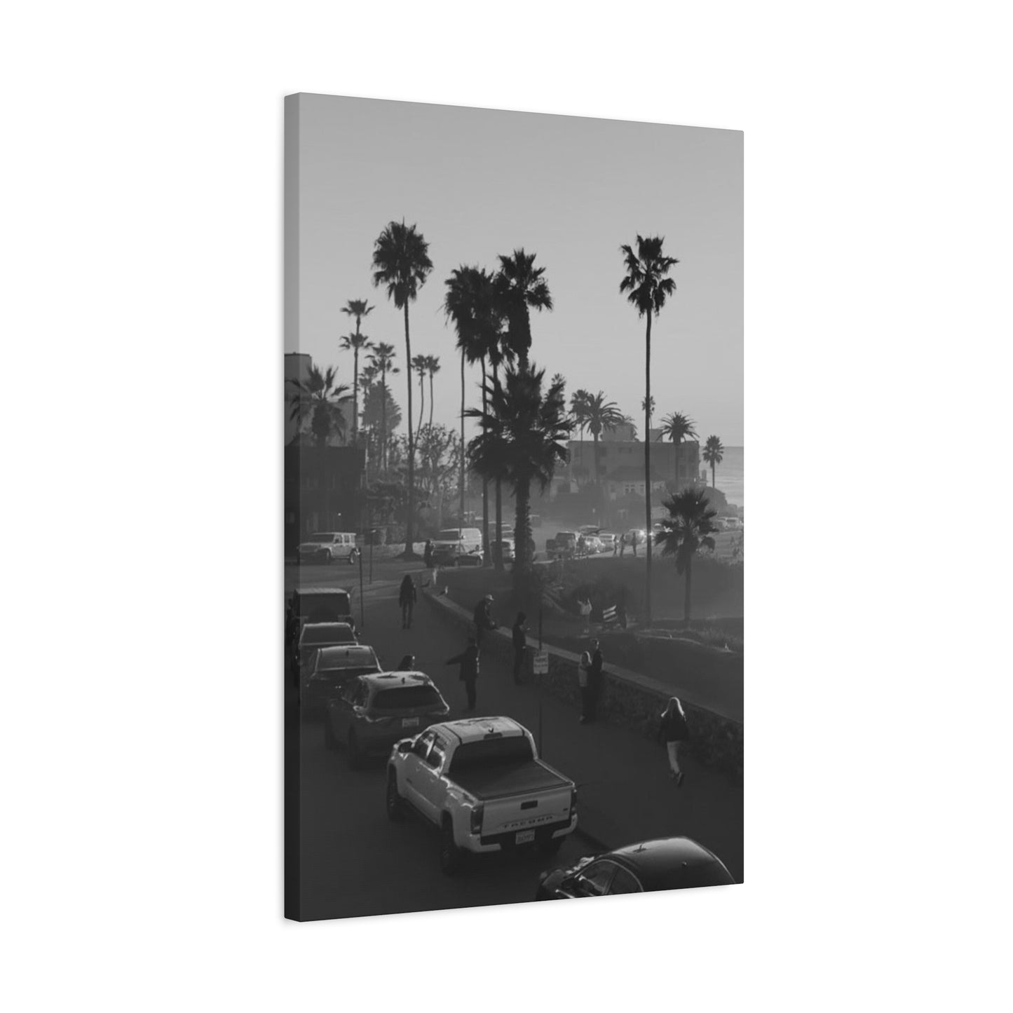 Vintage Palm trees "ANGLE"