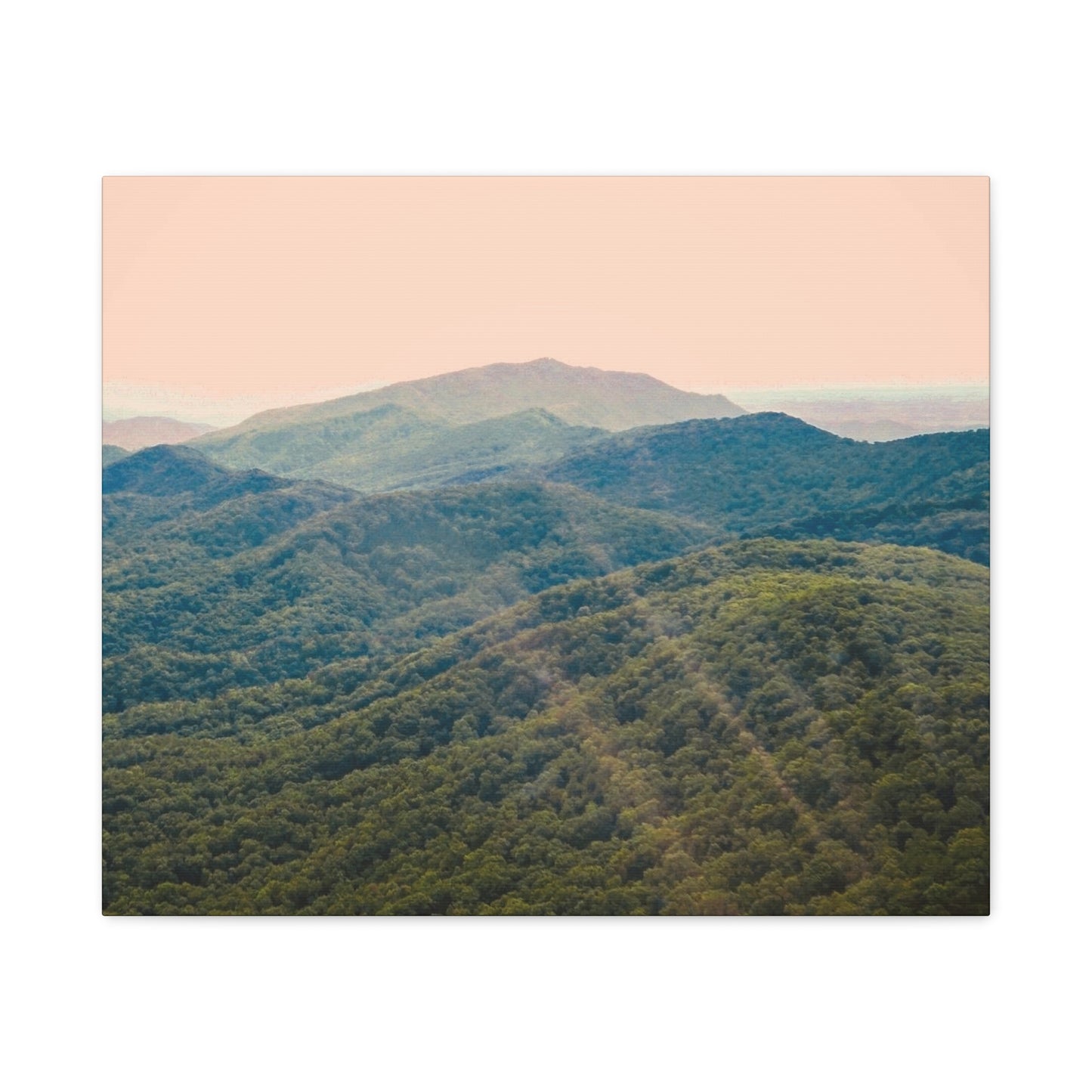 Golden Light "Smoky Mountains"