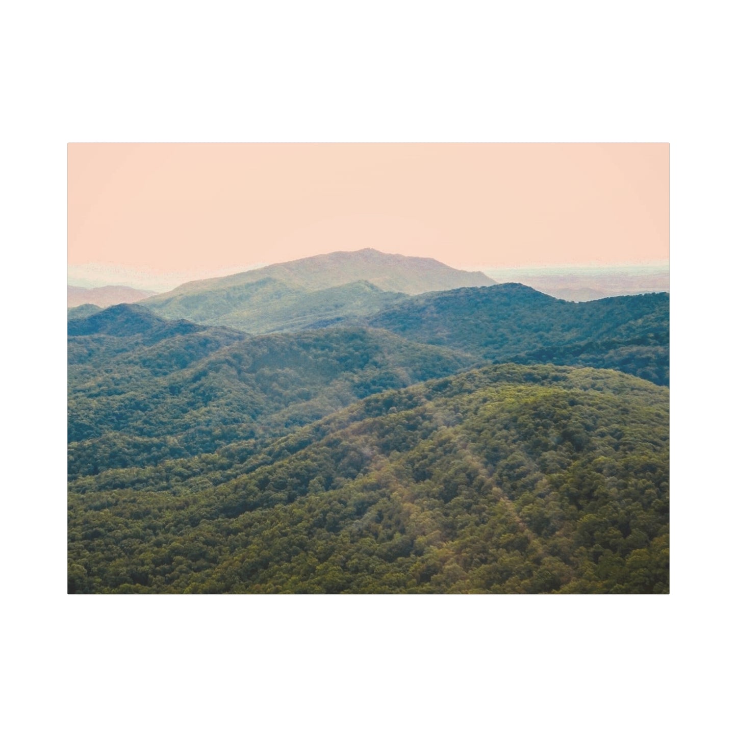 Golden Light "Smoky Mountains"