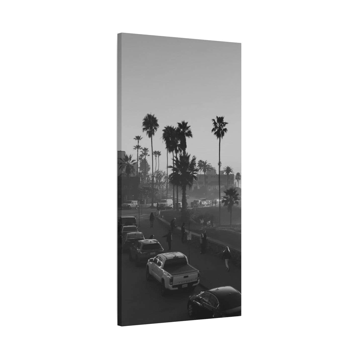 Vintage Palm trees "ANGLE"
