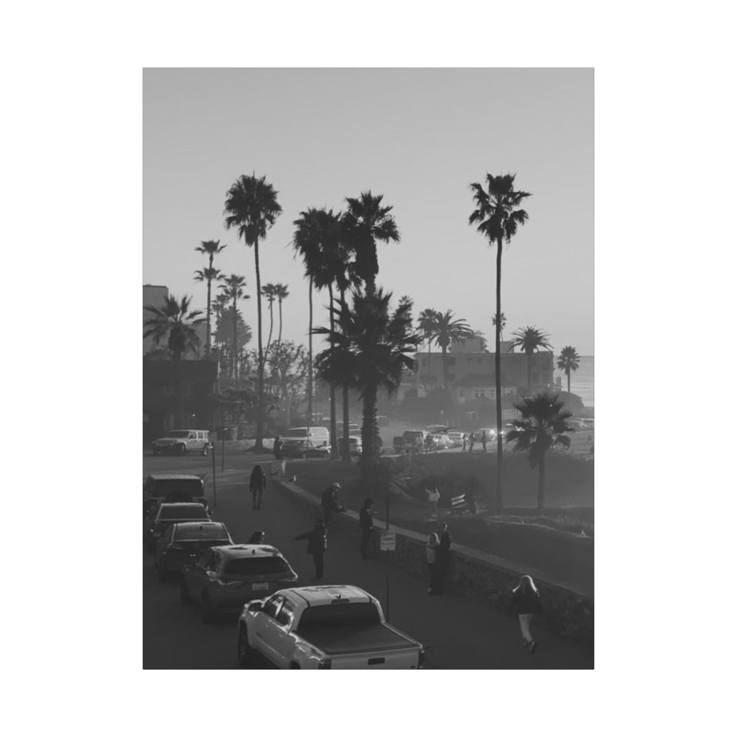 Vintage Palm trees "ANGLE"