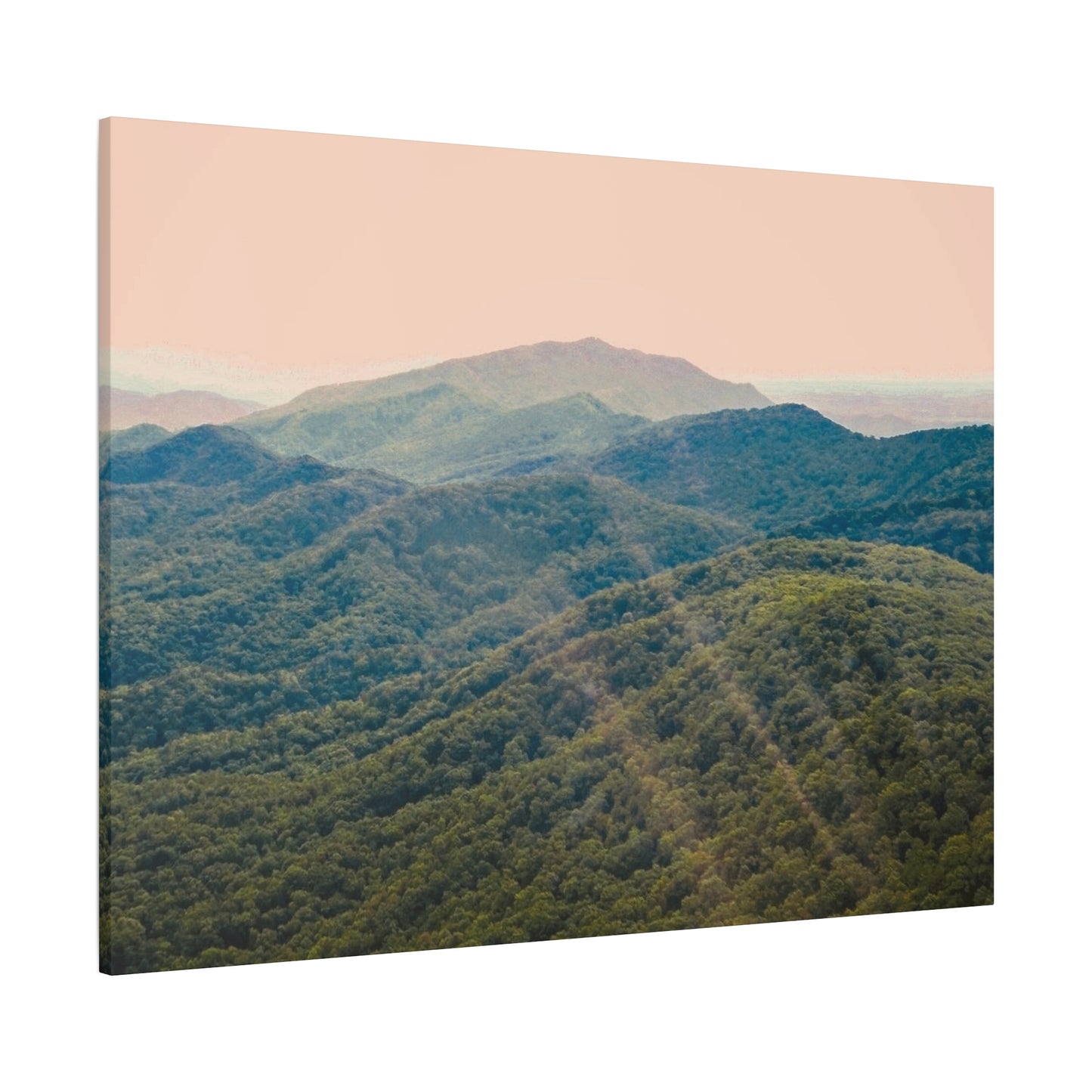 Golden Light "Smoky Mountains"