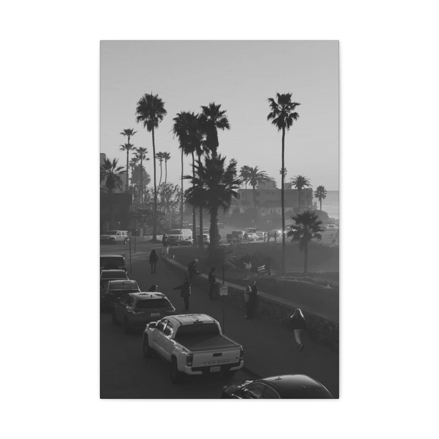 Vintage Palm trees "ANGLE"