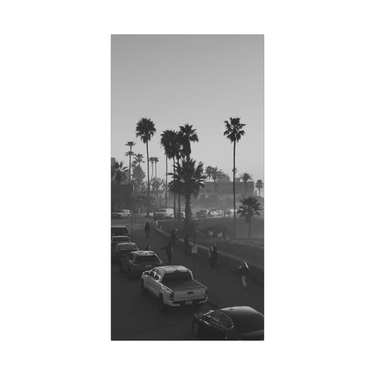 Vintage Palm trees "ANGLE"