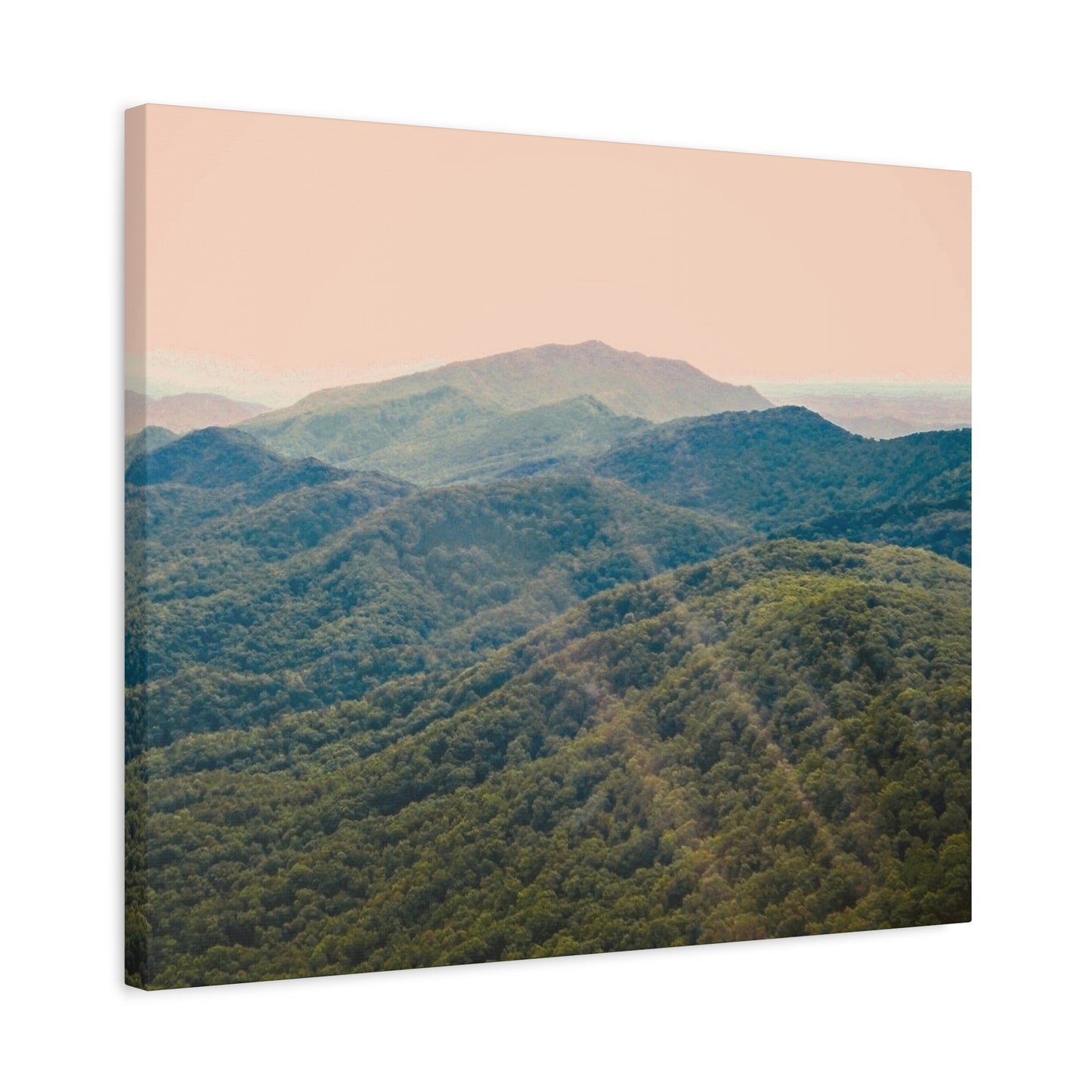 Golden Light "Smoky Mountains"